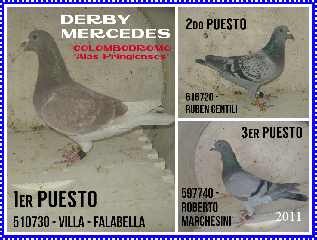 palomas derby11